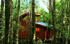 Cabañas Bosque Milenario